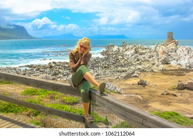 Happy woman at elevated viewing boardwalk of penguins colony in Stony Point Nature Reserve near coastal town of Betty’s Bay, Western Cape, South Africa. Female tourist enjoying with african penguins. - Powered by Shutterstock