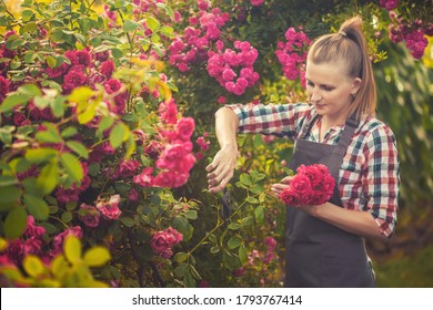 Happy Woman Gardening And Pruning Rose Bush With Garden Shears