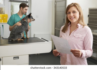 Vet Bill Images Stock Photos Vectors Shutterstock