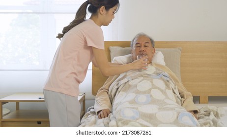 Happy Woman Nurse, Daughter Taking A Medicine To Sick Old Senior Elderly Patient Lying On Bed In Bedroom In Home Or House In Medical And Healthcare Treatment. Asian Thai People Lifestyle. Family