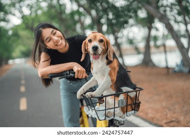 Happy woman owner riding a bike with her pet beagle dog in bicycle basket at public park - Powered by Shutterstock