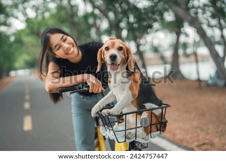 Happy woman owner riding a bike with her pet beagle dog in bicycle basket at public park