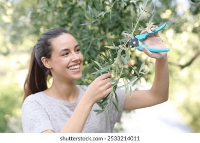 Happy woman pruning olive tree in the garden at home - Powered by Shutterstock