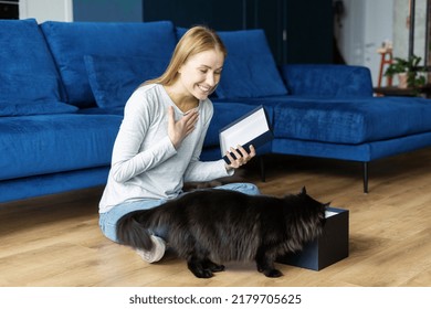 Happy Woman Sitting At Living Room In Cozy Apartment, Looking At Her Cat And Opened Box With Birthday Present. Smiling Female Celebrate Pet Adoption Day, Give Her Kitty Gift Package With Toys