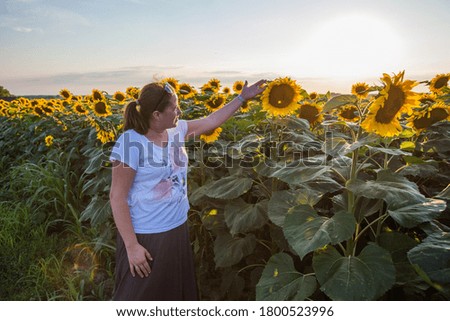 Similar – Image, Stock Photo Sunflowers Field at Sunset.Nature Background