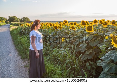 Similar – Image, Stock Photo Sunflowers Field at Sunset.Nature Background