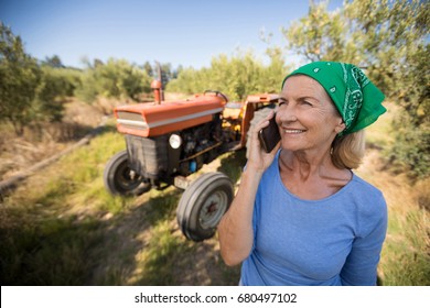 Happy woman talking on mobile phone in olive farm on a sunny day - Powered by Shutterstock