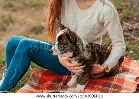 Happy woman together with Welsh Corgi dog in a park outdoors. Young female owner hugging pet in park on red blanket plaid. love and care for the pet.