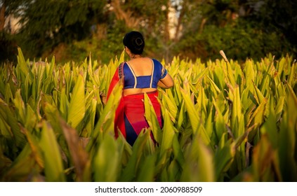 Happy Woman Walking In The Turmeric Field.