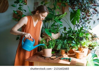 Happy woman watering in room close-up, carefully water plants using watering can. Caucasian happy girl enjoy planting and watering flower and indoor space.
