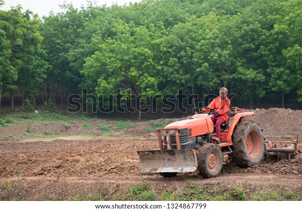 A happy women driving tractor plows the\
field and removes the remains of previously mown rice. Work\
agricultural machines. Harvest. Summer.\
Thailand.
