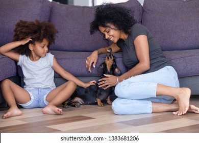 Happy young African American mom and small daughter play with home pet sitting in living room, excited nanny or mother and kid laugh having fun with dackel dog. Family animal companion concept