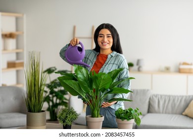 Happy young Arab woman watering houseplants in living room. Attractive middle Eastern female with waterpot taking care of potted plants, creating cozy home atmoshpere. Gardening, domestic environment