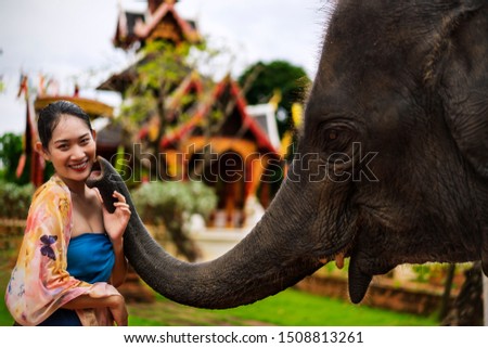 happy young Asian woman or Cheerful Tourist girls playing with elephant. Concept of Art and culture or travel, Asia. Asian woman model