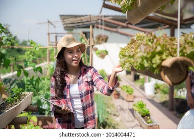 Happy Young Asian Woman In Rooftop Garden. Small Urban Farming