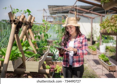 Happy Young Asian Woman With Tablet In Rooftop Garden. Small Urban Farming