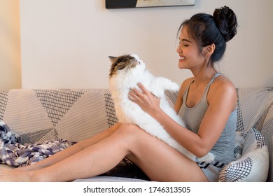 Happy Young Beautiful Asian Woman Playing With Persian Cat On The Couch