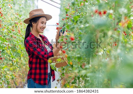 Similar – Image, Stock Photo Young girl picking cherries in the garden