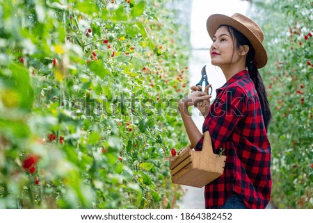 Similar – Image, Stock Photo Young girl picking cherries in the garden