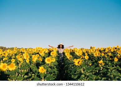 Happy Young Black Woman Walking In A Sunflower Field