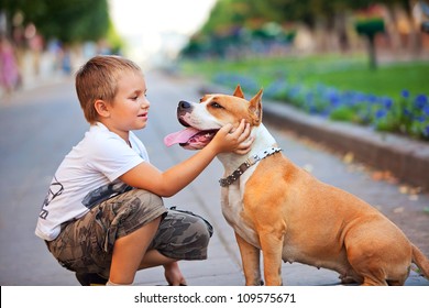 Happy young Boy and his dog in summer street