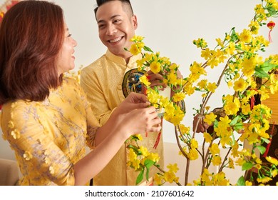 Happy Young Couple In Ao Dai Dresses Decorating Blooming Apricot Tree For Lunar New Year Celebration