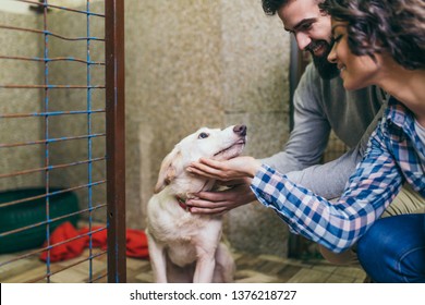 Happy Young Couple At Dog Shelter Adopting A Dog.