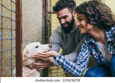 Happy Young Couple At Dog Shelter Adopting A Dog.