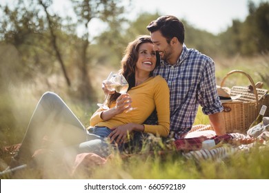 Happy young couple holding wineglasses while relaxing on picnic blanket at olive farm - Powered by Shutterstock