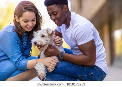 Happy young couple with their pet dog outdoors
