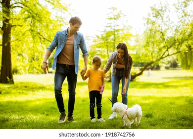 Happy Young Family With Cute Bichon Dog In The Park