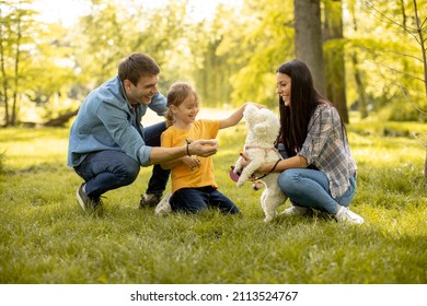 Happy young family with cute bichon dog in the park