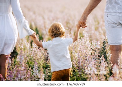 Happy Young Family Mother Father And Son Walk On Nature On Sunset Hold Hand. Back View. Parents Playing With Their Child Outside In A Field With Pink Sage Flower. Space For Copy. From Behind.