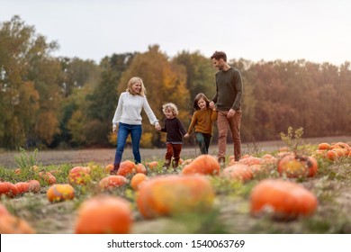 Happy young family in pumpkin patch field
