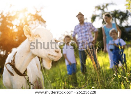 Similar – Image, Stock Photo Together Animal family