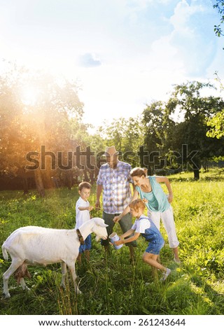 Similar – Image, Stock Photo Together Animal family