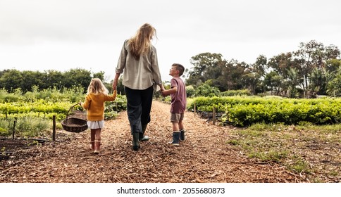 Happy young family walking towards an agricultural field. Rearview of a single mother going harvesting with her two children on an organic farm. Self-sustainable family going to reap fresh vegetables. - Shutterstock ID 2055680873