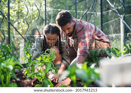 Similar – Image, Stock Photo greenhouse Greenhouse