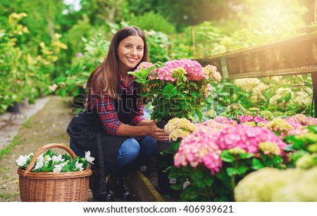 Similar – hydrangeas Nature Plant