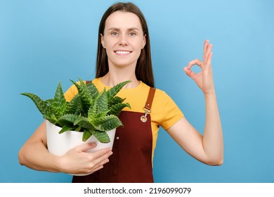 Happy Young Gardener Woman Holding Pot Green Plant And Showing Ok Gesture, Smiling Looking At Camera, Posing Isolated Over Blue Color Background Wall In Studio. Care About House Plants Concept