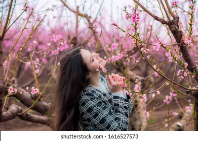 113,592 Peach Bloom Images, Stock Photos & Vectors | Shutterstock