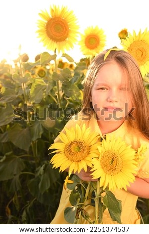 A happy young girl with long hair in a straw hat stands in a large field of sunflowers. Summer day. A warm sunset.
