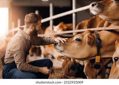 Happy young man farm worker takes care of cows in barn. Concept cattle livestock farming, industry agriculture. - Powered by Shutterstock