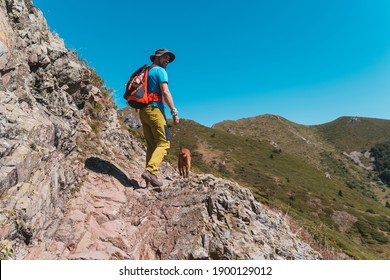 Happy Young Man Hiker Walking On Rocky Mountain Ridge With His Dog, Rear View