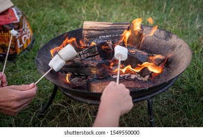Happy young man and his son enjoying their weekend in natural environment while frying marshmellow on campfire in knockhatch england