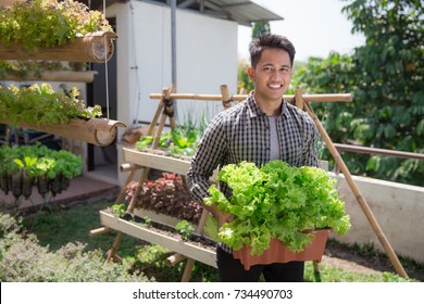 Happy Young Man Holding A Bucket Full Of Lettuce In Front Of His Urban Farm