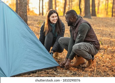 Happy young mixed race couple making tent together, having conversation, camping in forest on weekend - Shutterstock ID 1810290076
