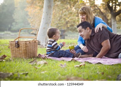 Happy Young Mixed Race Ethnic Family Having A Picnic In The Park.