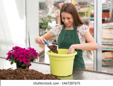 Happy Young Nursery Worker Potting A Colorful Purple Petunia Or Surfinia Plant Into A Large Green Pot Filling It With Potting Soil Using A Small Trowel