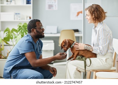 Happy young pet owner consulting with African-American male veterinarian in blue medical scrubs sitting on squats in front of her - Shutterstock ID 2122747457